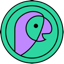 Parrot